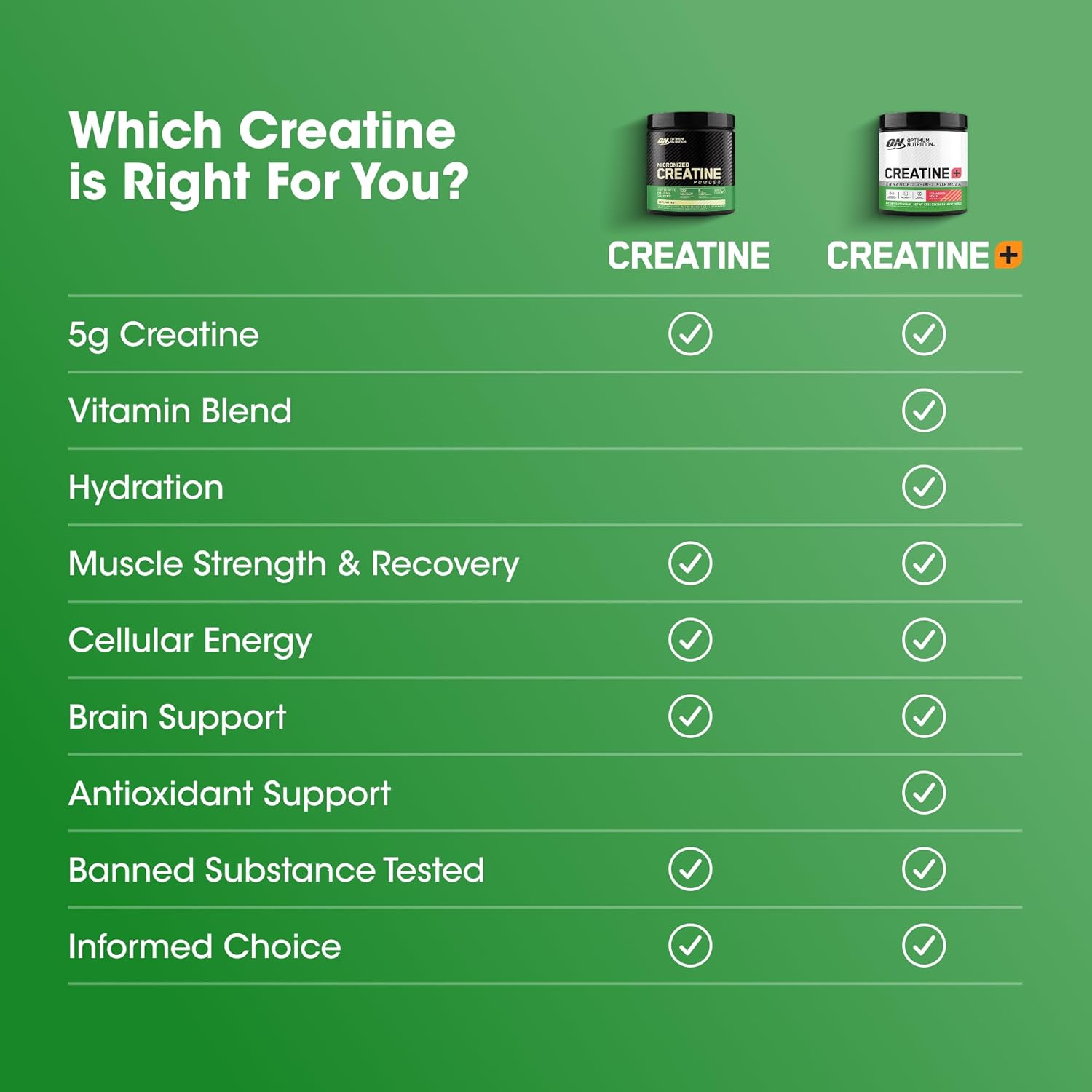 Optimum Nutrition Creatine Plus Powder