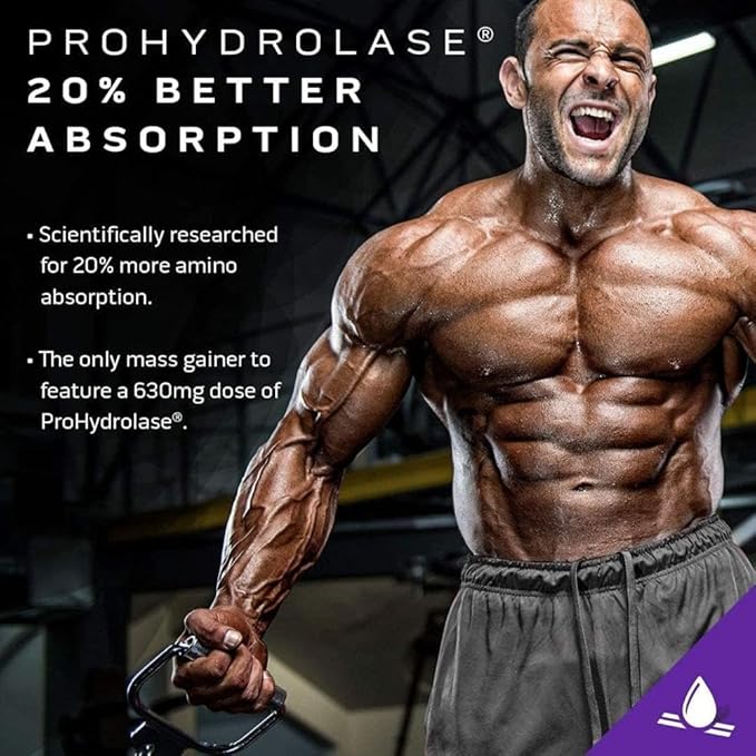 Muscletech Mass Tech